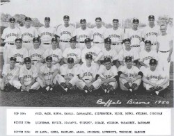 Cy Block Baseball 1950 Buffalo Bison